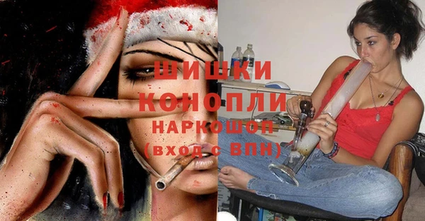 твердый Осинники