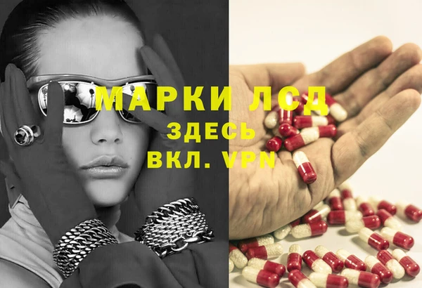 твердый Осинники