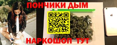 сатива Гатчина