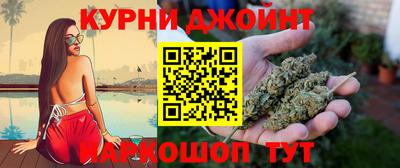 сатива Гатчина