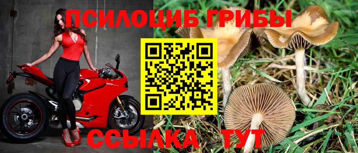 цены наркотик  Кыштым  Галлюциногенные грибы Cubensis  Псилоцибиновые грибы Magic Shrooms 