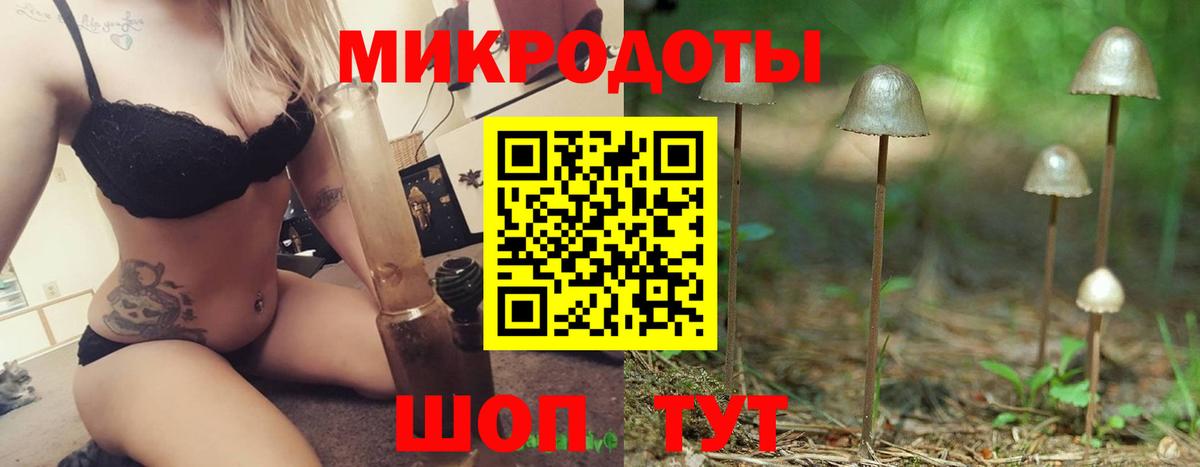 Псилоцибиновые грибы прущие грибы Кыштым