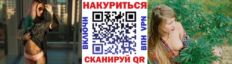 закладки Кыштым МЕГА сайт Бошки Шишки семена